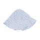 Blue Checkered Dress
